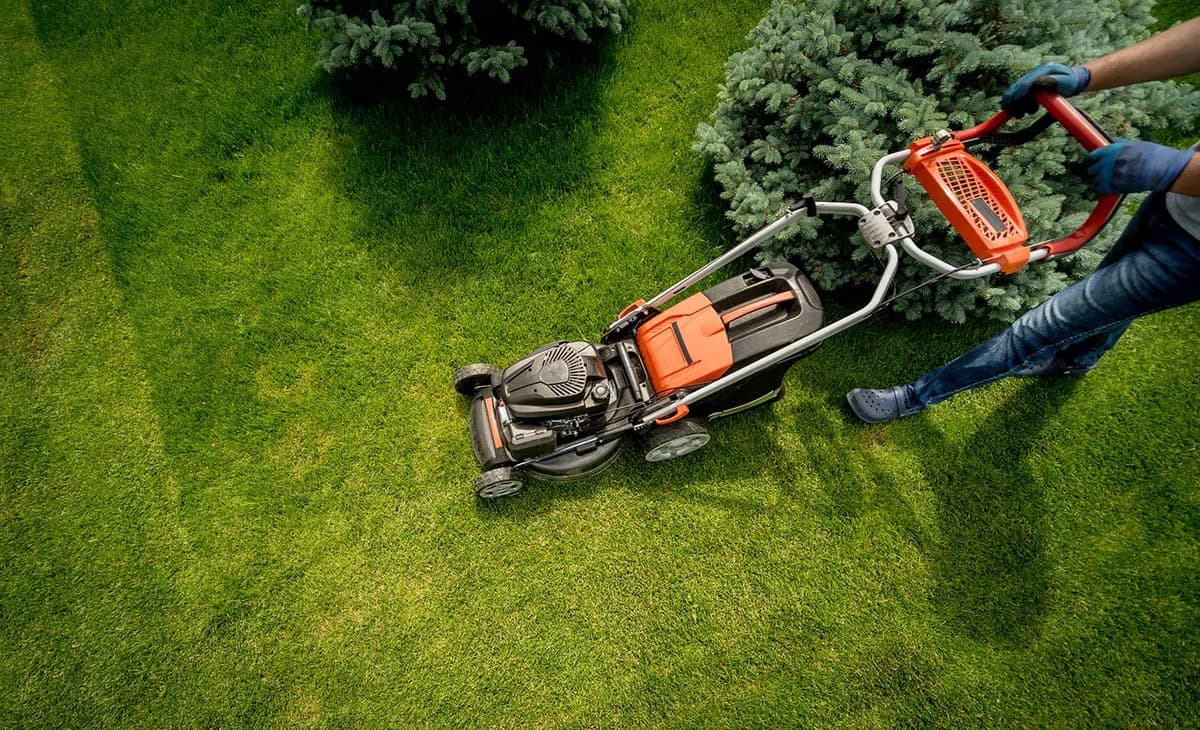 Garden Maintenance