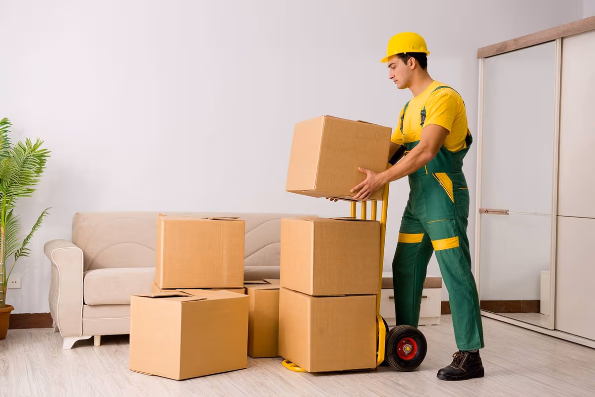 Movers & Packers